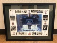 Dallas Stars Final Game at Reunion Arena Framed Poster 202//151